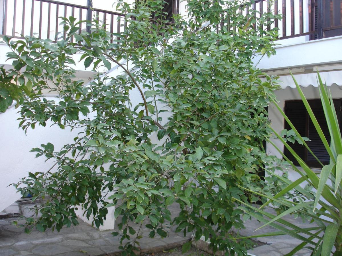 Dionysus-Mihanicus Ierissos Bagian luar foto